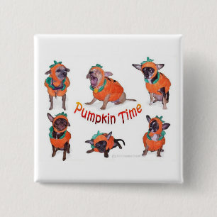 Pumpkin Time Chihuahuas 15 Cm Square Badge
