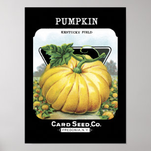 Pumpkin Vintage Seed Packet Poster