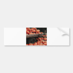 pumpkin wagon bumper sticker