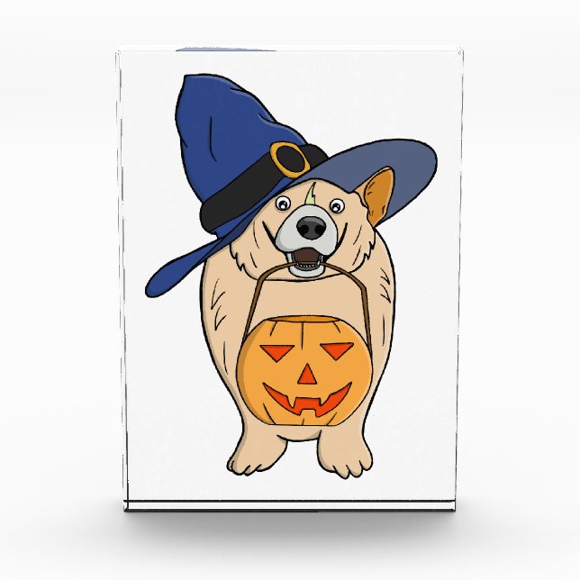 Pumpkin Witch Dog Photo Block (Front)