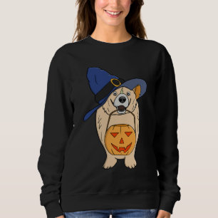 Pumpkin Witch Dog Sweatshirt