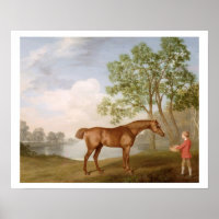 Pumpkin with a Stable-Lad, 1774 (oil on panel)