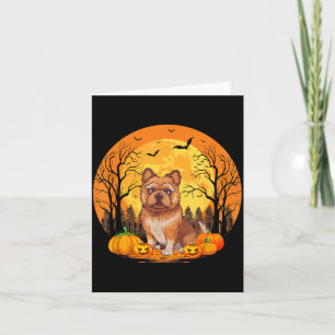 Pumpkin With Funny Halloween Costume Brussels Card