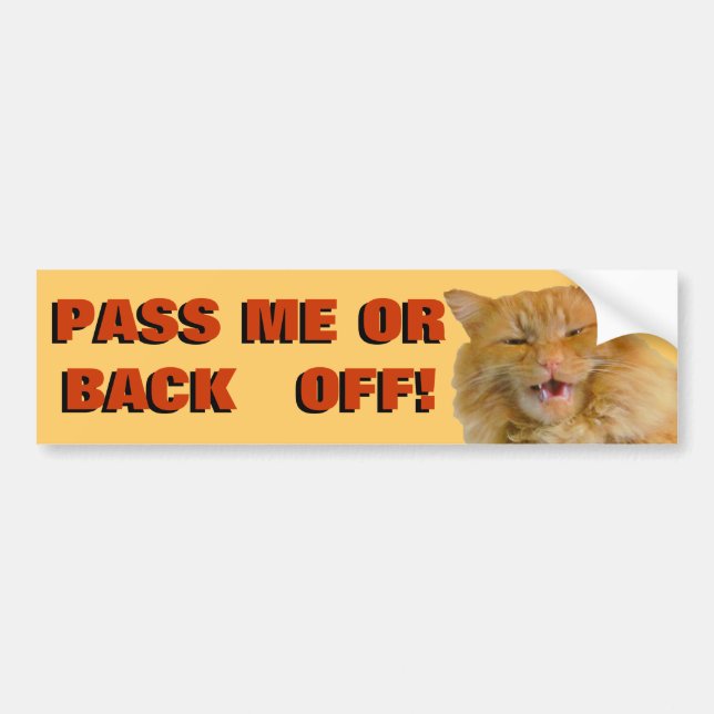 Pumpkin yells " back off" Cat Meme Bumper Sticker (Front)