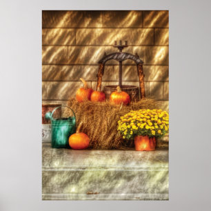 Pumpkins - A still life with pumpkins Poster