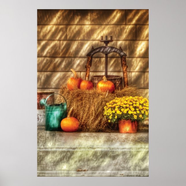 Pumpkins - A still life with pumpkins Poster (Front)