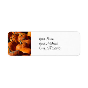 Pumpkins Address Label Return Address Label