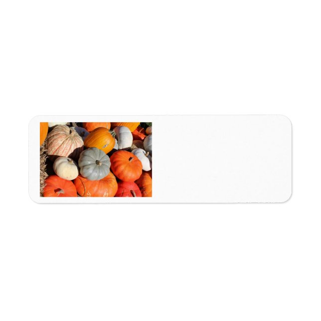 Pumpkins Address Labels (Front)
