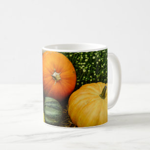 Pumpkins And Gourds Coffee Mug