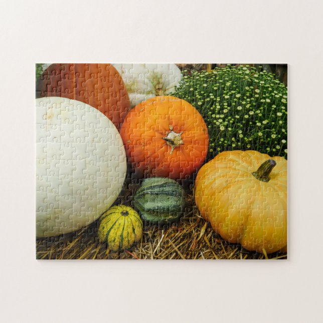 Pumpkins And Gourds Jigsaw Puzzle (Horizontal)