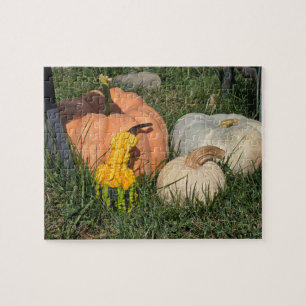 Pumpkins and gourds jigsaw puzzle