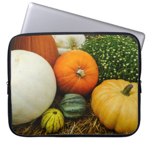 Pumpkins And Gourds Laptop Sleeve