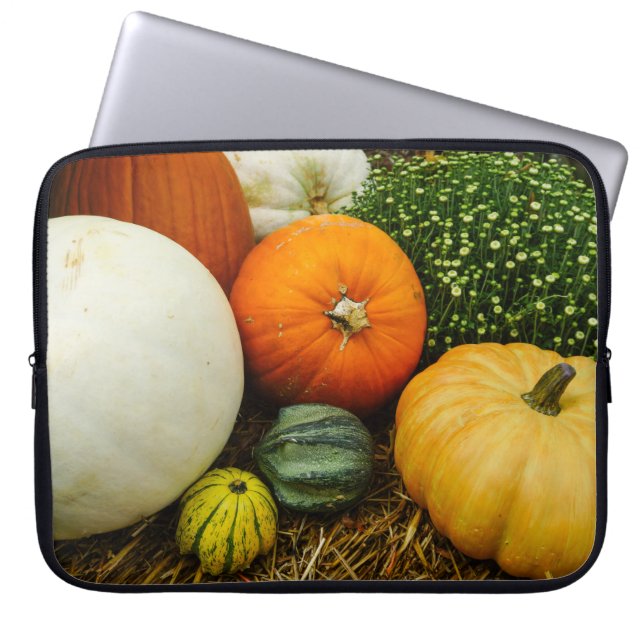 Pumpkins And Gourds Laptop Sleeve (Front)
