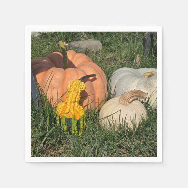 Pumpkins and Gourds Napkin (Front)