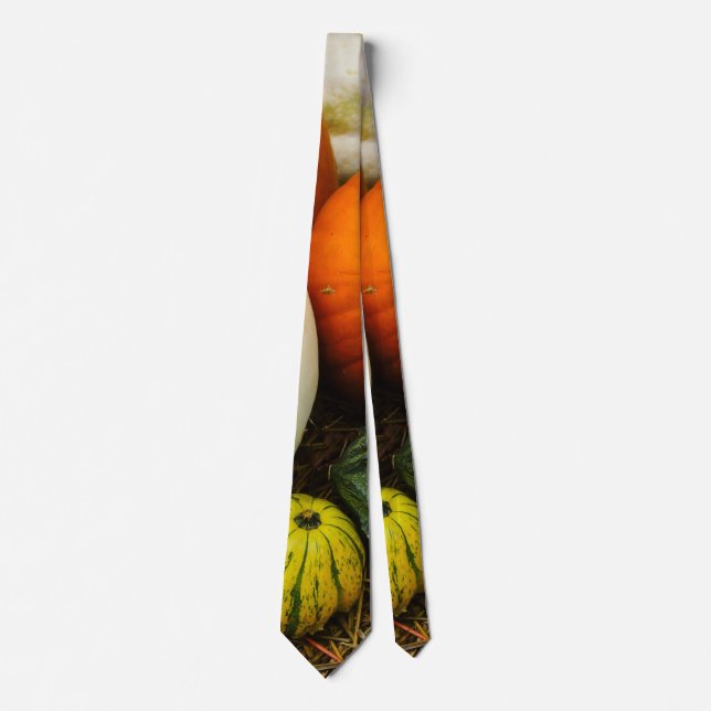 Pumpkins And Gourds Neck Tie (Front)