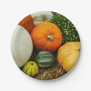Pumpkins And Gourds Paper Plate