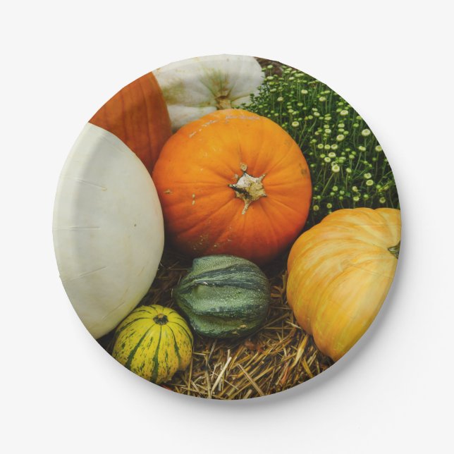 Pumpkins And Gourds Paper Plate (Front)