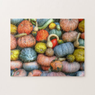 Pumpkins and Gourds Photo Puzzle
