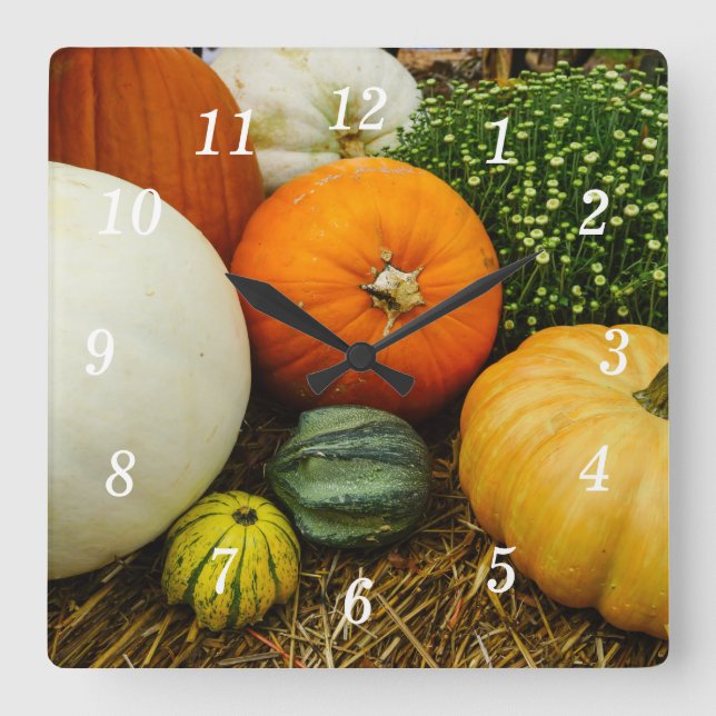Pumpkins And Gourds Wall Clock (Front)