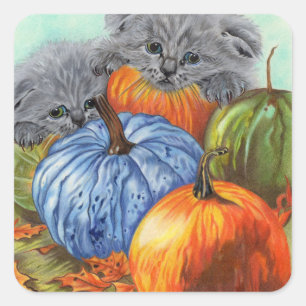 Pumpkins and Kittens stickers