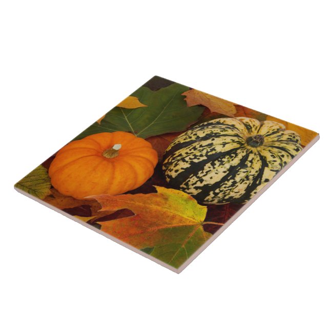 Pumpkins and Leaves Tile (Side)