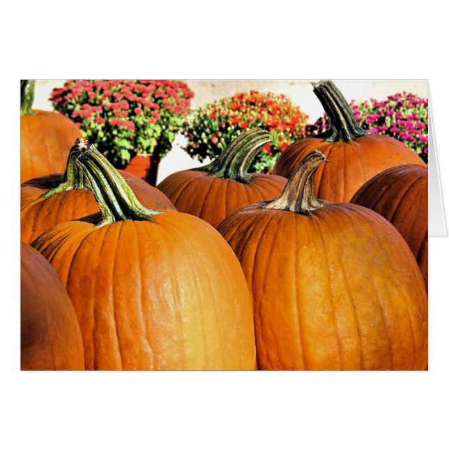 Pumpkins and Mums (Front Horizontal)