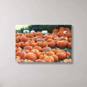 Pumpkins and Mums Autumn Harvest Photography Canvas Print