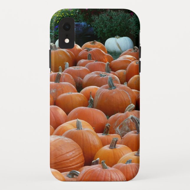 Pumpkins and Mums Autumn Harvest Photography Case-Mate iPhone Case (Back)