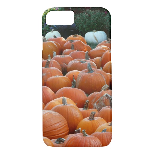 Pumpkins and Mums Autumn Harvest Photography Case-Mate iPhone Case (Back)