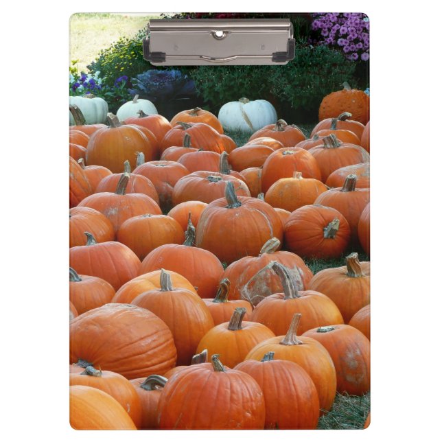 Pumpkins and Mums Autumn Harvest Photography Clipboard (Front)