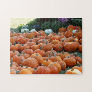 Pumpkins and Mums Autumn Harvest Photography Jigsaw Puzzle