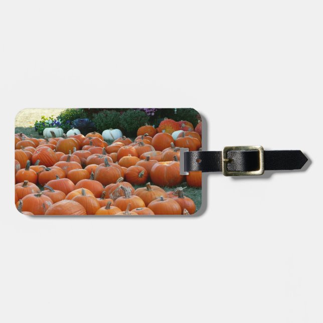Pumpkins and Mums Autumn Harvest Photography Luggage Tag (Front Horizontal)