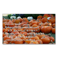 Pumpkins and Mums Autumn Harvest Photography