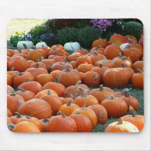 Pumpkins and Mums Autumn Harvest Photography Mouse Pad