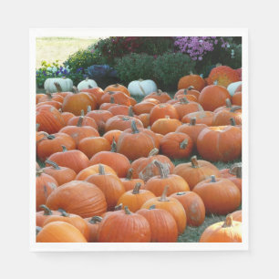 Pumpkins and Mums Autumn Harvest Photography Napkin