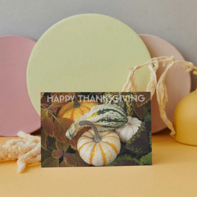 Pumpkins and Squash Still Life Photo Thanksgiving Holiday Card (In Situ)