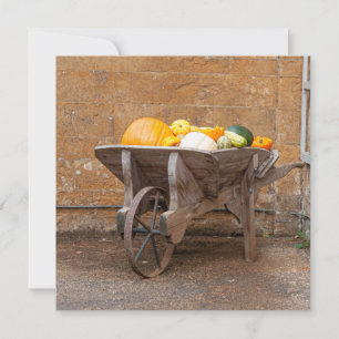 Pumpkins and Squashes