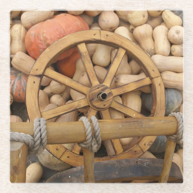 Pumpkins and Wheel of the rural wooden cart Glass Coaster (Front)