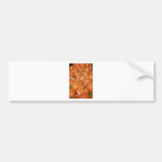 PUMPKINS! BUMPER STICKER