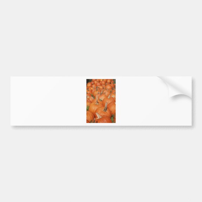 PUMPKINS! BUMPER STICKER (Front)