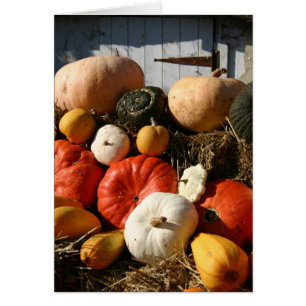 Pumpkins card