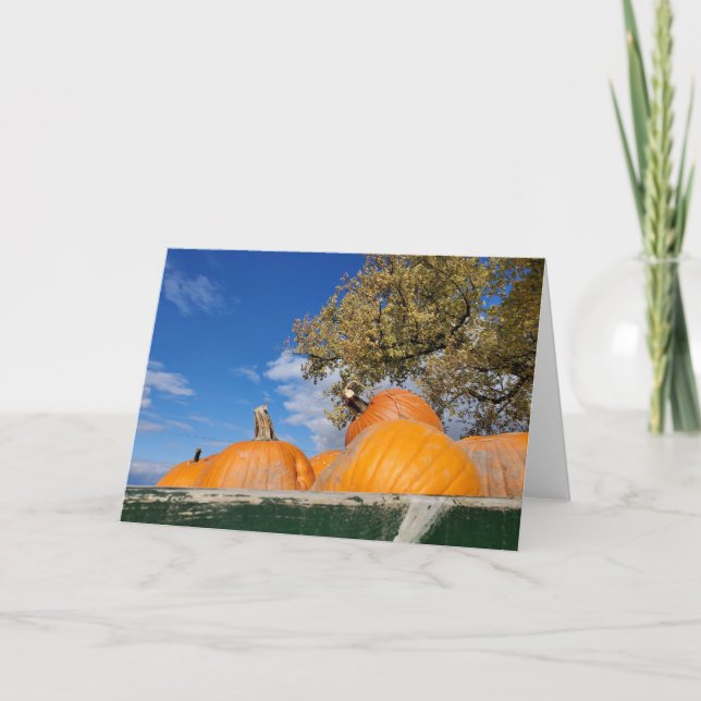 Pumpkins Card (Front)