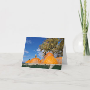 Pumpkins Card