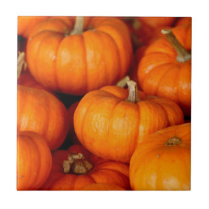 Pumpkins Ceramic Tile