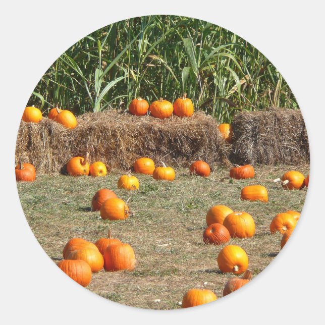 Pumpkins, Corn and Hay Autumn Harvest Photography Classic Round Sticker (Front)
