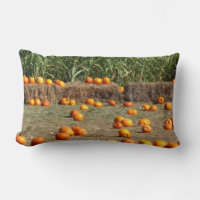 Pumpkins, Corn and Hay Autumn Harvest Photography