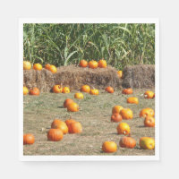 Pumpkins, Corn and Hay Autumn Harvest Photography