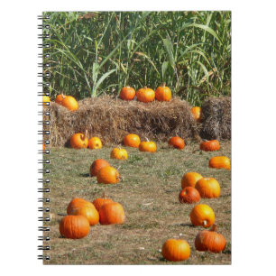 Pumpkins, Corn and Hay Autumn Harvest Photography Notebook