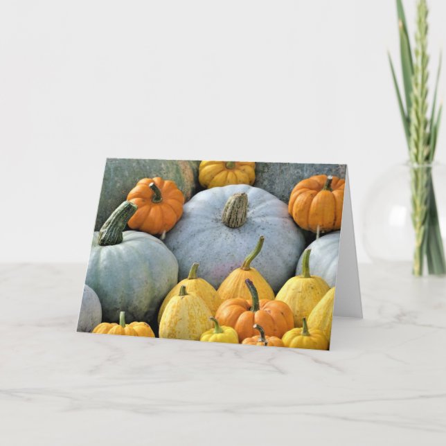 Pumpkins Folded Greetings Card (Front)