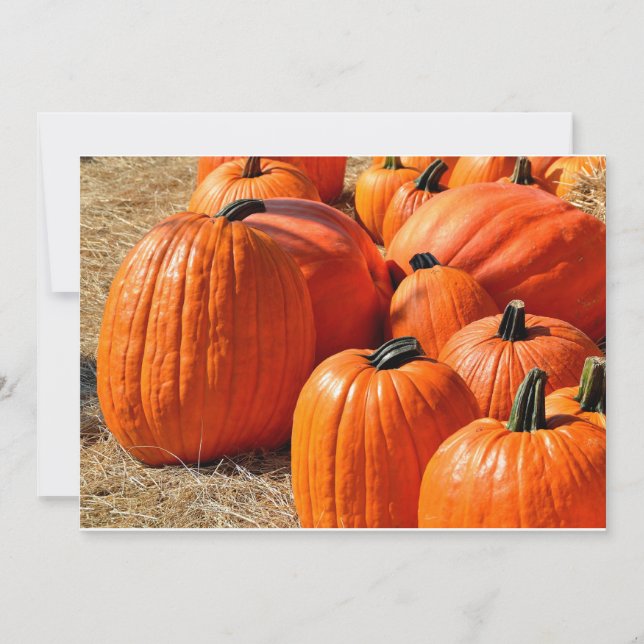 pumpkins for sale (Front)